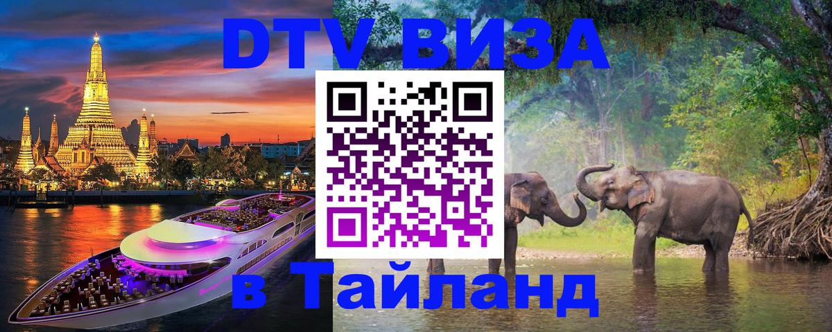 Оформление DTV визы под ключ: стоимость и тарифы, только загранпаспорт - 